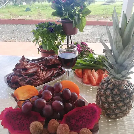 Paradise Garden * Λάρνακα