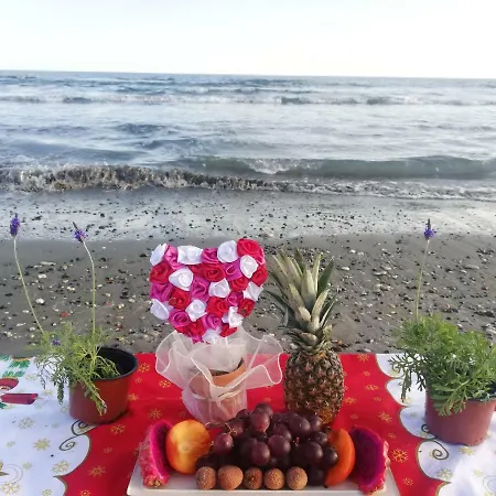 Paradise Garden Λάρνακα